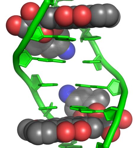 DoxorubicinDNA Complex 1D12 Azure Biosystems