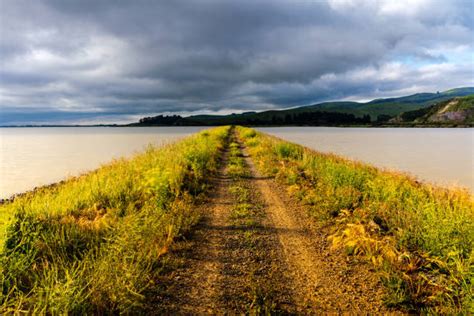 60 Lake Ellesmere New Zealand Stock Photos Pictures And Royalty Free