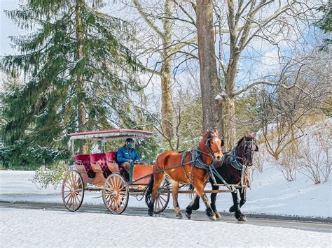 Winter Carriage/Sleigh Rides - The Greenbrier Resort