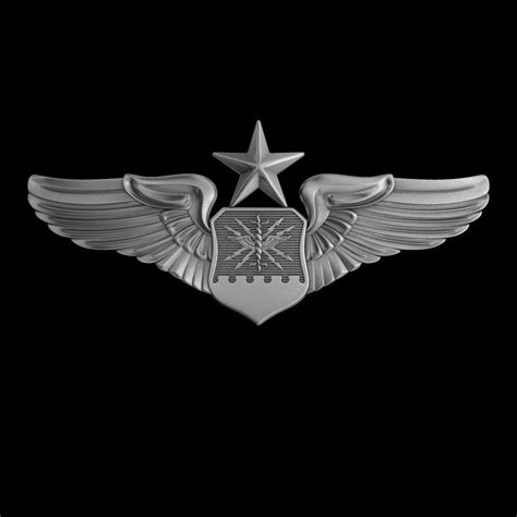 USAF Senior Combat Systems Officer Wings Badge 3D model | CGTrader