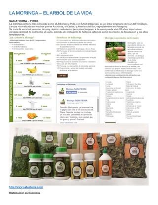 Moringa Oleifera Pdf