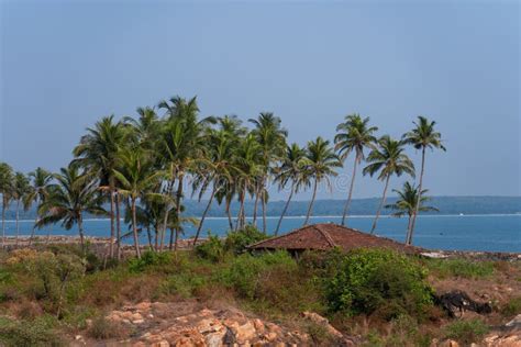 Coconut Palm Tree And Old Red Hut In Tropical Island Stock Image