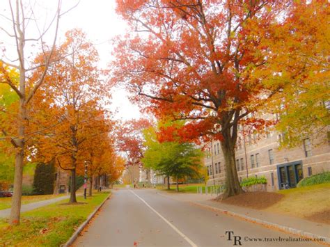 A Fall Foliage in Princeton University Campus - Travel Realizations