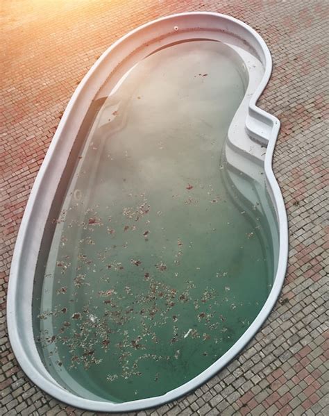 Premium Photo Abandoned Pool With Dirty Water Polluted Swimming Pool