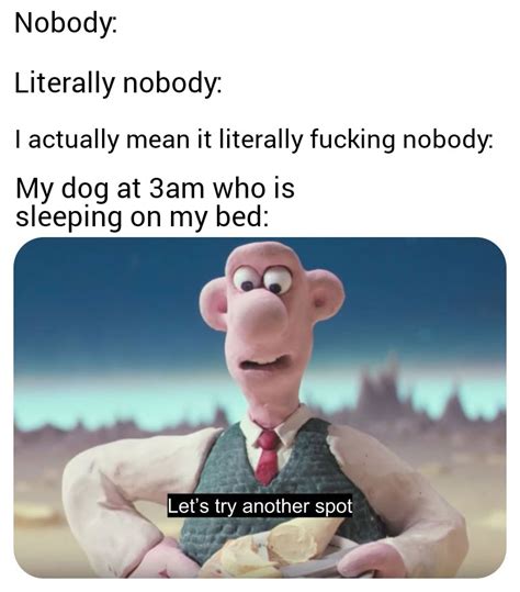 We need more Wallace and Gromit memes : r/dankmemes