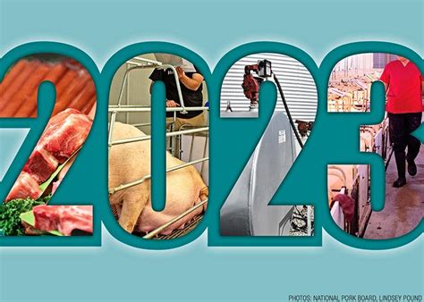 What’s Driving The Pork Industry In 2023 Pork Business