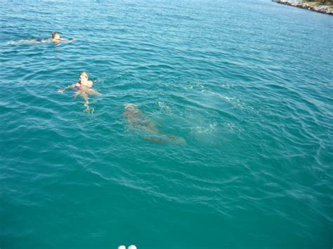 Amateur Photos IMG Porn Pic