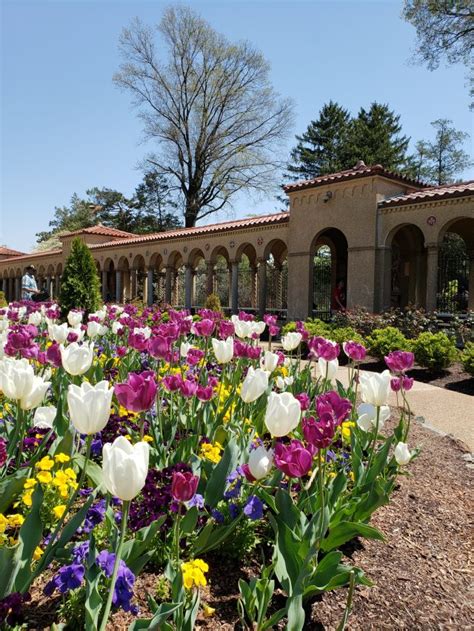 Hidden Catacombs And Gardens In Brookland Daycation Dc