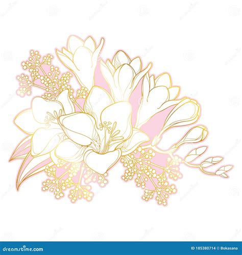 Ramo Vectorial De Brote De Flores De Freesia Y Hojas En Rosa Y Dorado Aisladas En Fondo Blanco