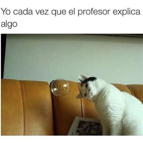 Pin De Mafe En Memes En 2020 Memes De La Escuela Memes Memes En Español