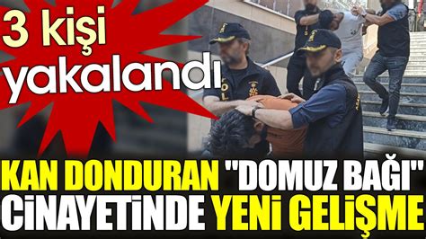 3 kişi yakalandı Kan donduran domuz bağı cinayetinde yeni gelişme