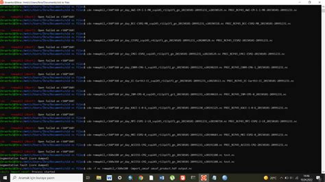 How To Solve Segmentation Fault Core Dumped Error In Cdo