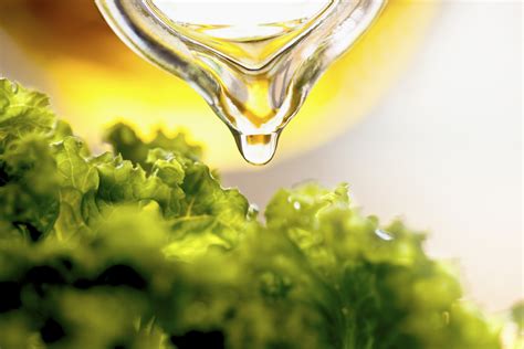 Wilkommen bei egusto