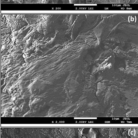 Sem Images Of Different Surfaces Views Of The Machined Hole Wall