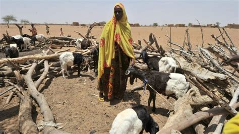 Yan Ta Adda Sun Tagayyara Dubban Mata Da Kananan Yara A Burkina Faso