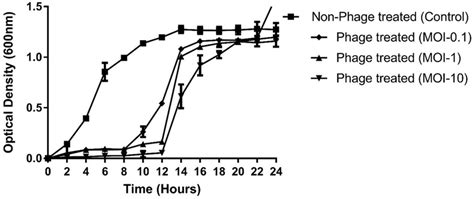 Determination Of The Invitro Bacteriolytic Activity Of TSP