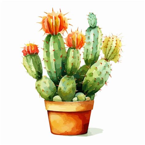 Premium Vector Watercolor Vector Illustration Of A Set Of Cacti And Succulent Plants On A