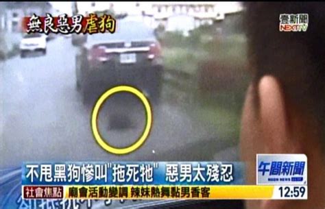 「車綁狗拖行」 狠心駕駛執意弄死牠！ 社會 自由時報電子報