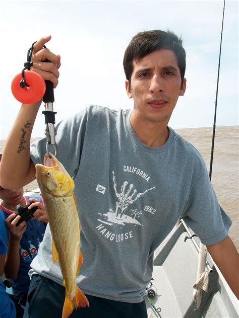 Guia De Pesca En Berisso Altapesca Las Reinas Se Hacen Las Lindas