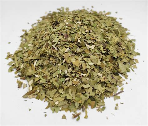 Green Yerba Mate Dried Leaves Herbal Tea Grams Oz Ilex