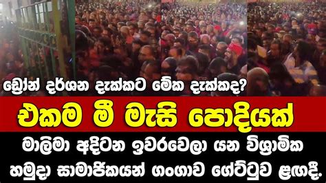 එක මීමැසි පොදියක් මාලිමා අදිටන ඉවරවෙලා විශ්‍රාමික හමුදා සාමාජික ගංගාව