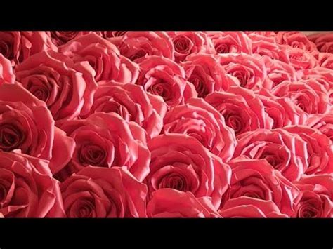 Роза Изолон d 50см - YouTube