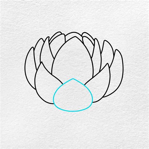 lotus flower drawings 9