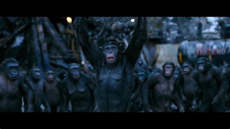 Lake Planet Of The Apes Heroes Wiki Fandom