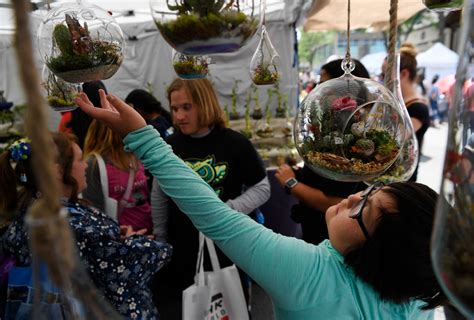 Photos Denver Cherry Blossom Festival 2017