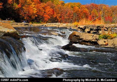 Wall of Red and Orange Vegetation above a Youghiogheny River Rapid