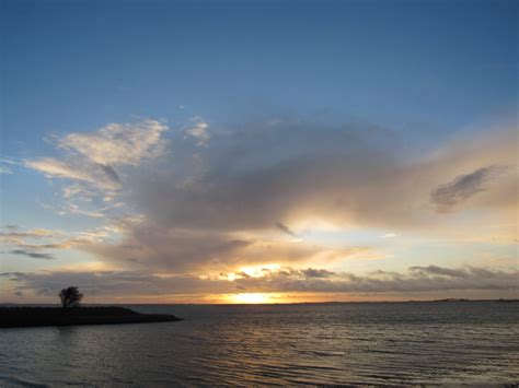 Kats Door Geeske Harkema Kats Zonsopkomst In De Regen Bij Flickr