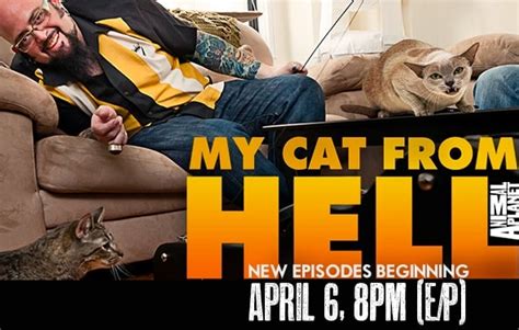 My Cat From Hell Returns With New Episodes