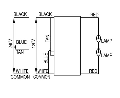 175 Watt Metal Halide Ballast Wiring Diagram - Wiring Diagram Pictures