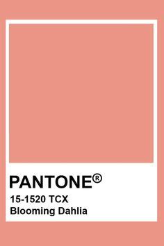 Pantone I In Fikir Renkler Pantone Renk Paletleri