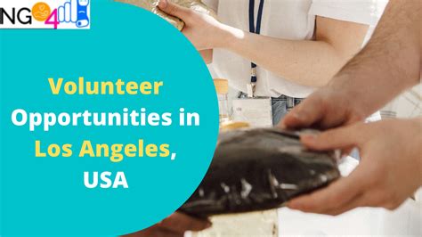 Find Volunteer Opportunities In Los Angeles, USA- Food Banks