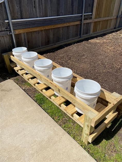 Maximize Space With Bucket Gardening Gallon Edition In