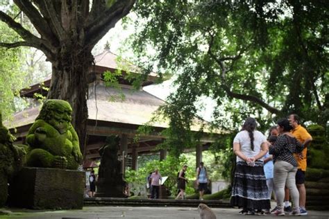 Monkey Forest Ubud Jam Buka Harga Tiket Dan Aktivitas Kompas