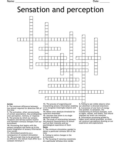 Sensation And Perception Crossword WordMint