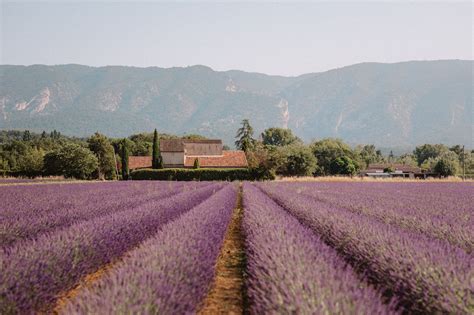 South Of France Provence Guide Find Us Lost