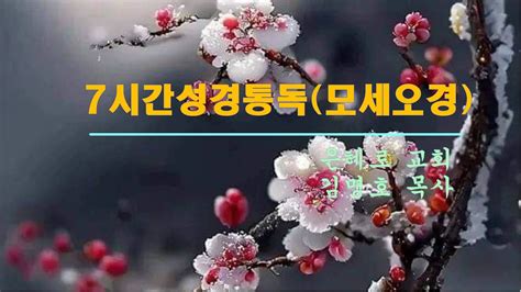 7시간성경통독 사경회📀실황 1 📖모세오경 큰글자통독 ㅣ 창세기 출애굽기 민수기 레위기 신명기 ㅣ 김명호 목사 ㅣ