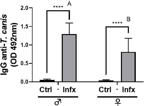 Figure 1 From Sexual Dimorphism In The Physiopathology And Immune Response During Acute Toxocara