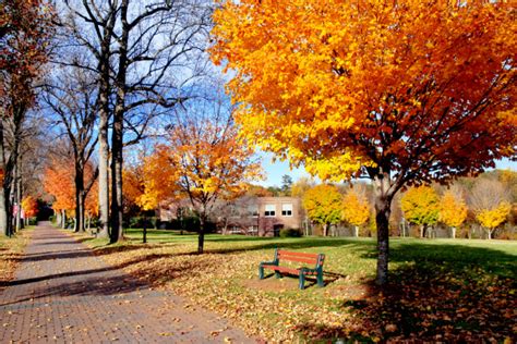 Discovering Quiet Corners in Bergen County Parks