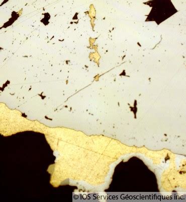 Petrography