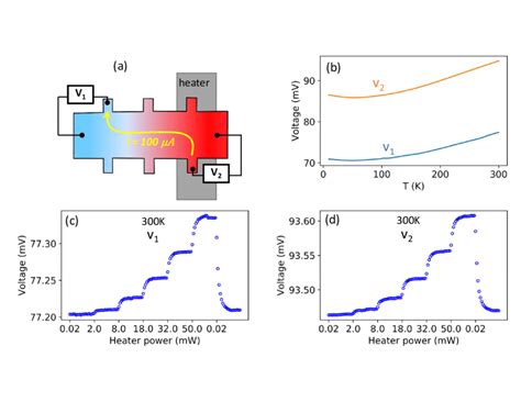 Thermal gradient evaluation. (a) Schematic picture of the setup. (b ...