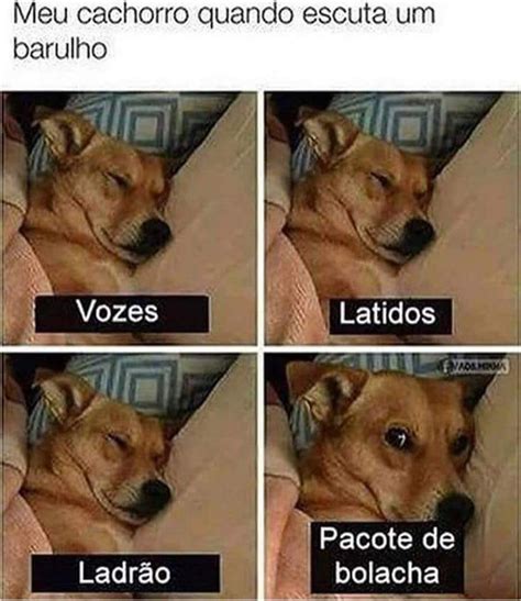 Catioro Reflexivo On Twitter Memes Engra Ados Do C O Meme Engra Ado