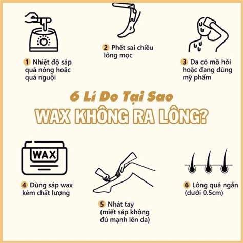 Mua Sáp Wax Lông Nóng Tẩy Lông Sáp Wax Beans Cao Cấp Tẩy Lông Nách Chân Bikini Siêu Bám Lông