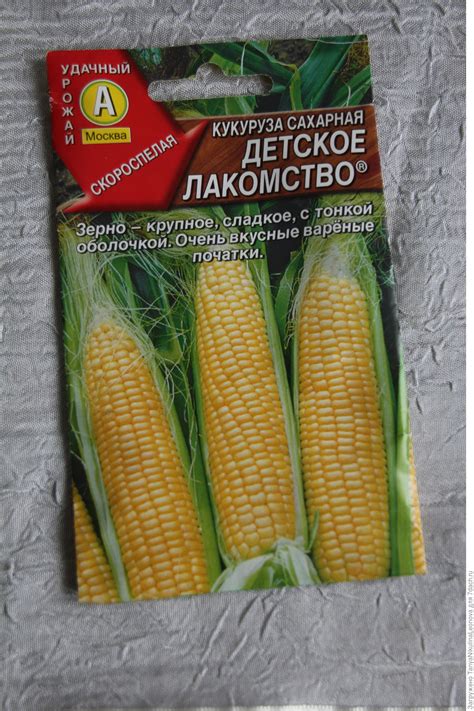 Кукуруза сахарная Детское лакомство. Агротехника. Описание и фото сорта