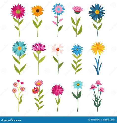 Bachelor S Button Flower Icon Set Centaurea Cyanus Flat Design