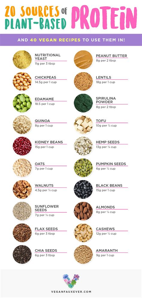 Vegan Protein Sources List