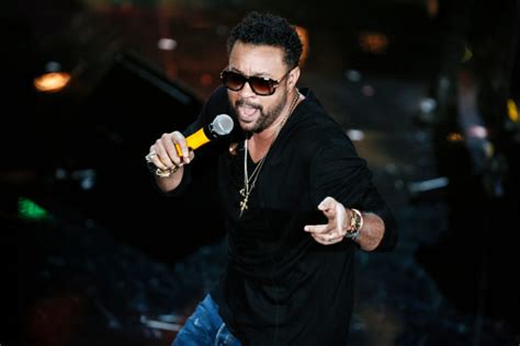 Top 10 Shaggy Songs - ClassicRockHistory.com